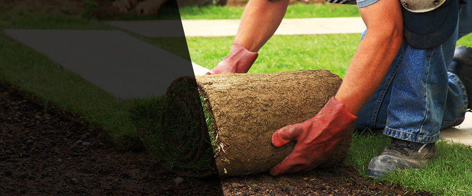 Chattaroy Landscapers